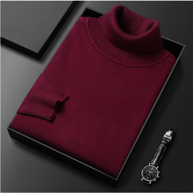 Armin | Herren Lässiger Rollkragenpullover für den Frühling
