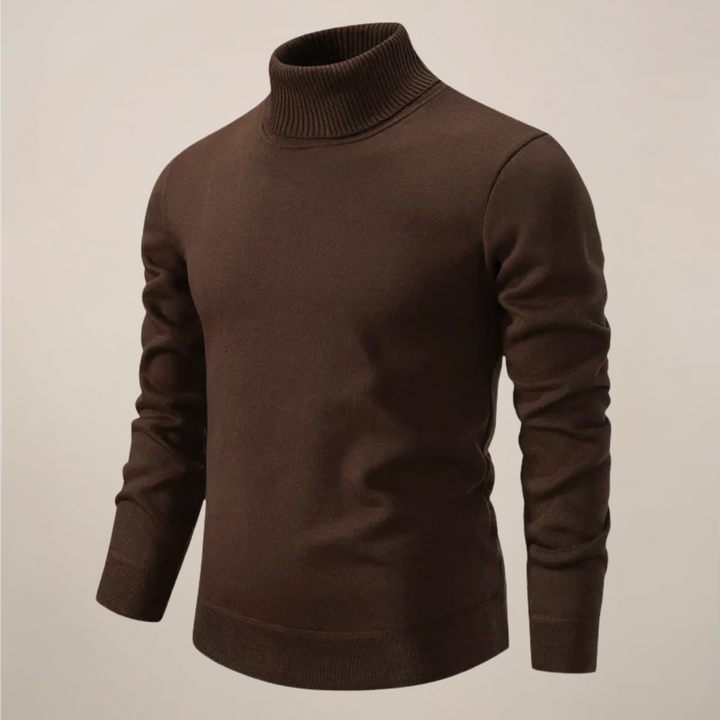 Alexander | Herren Frühlings Rollkragenpullover