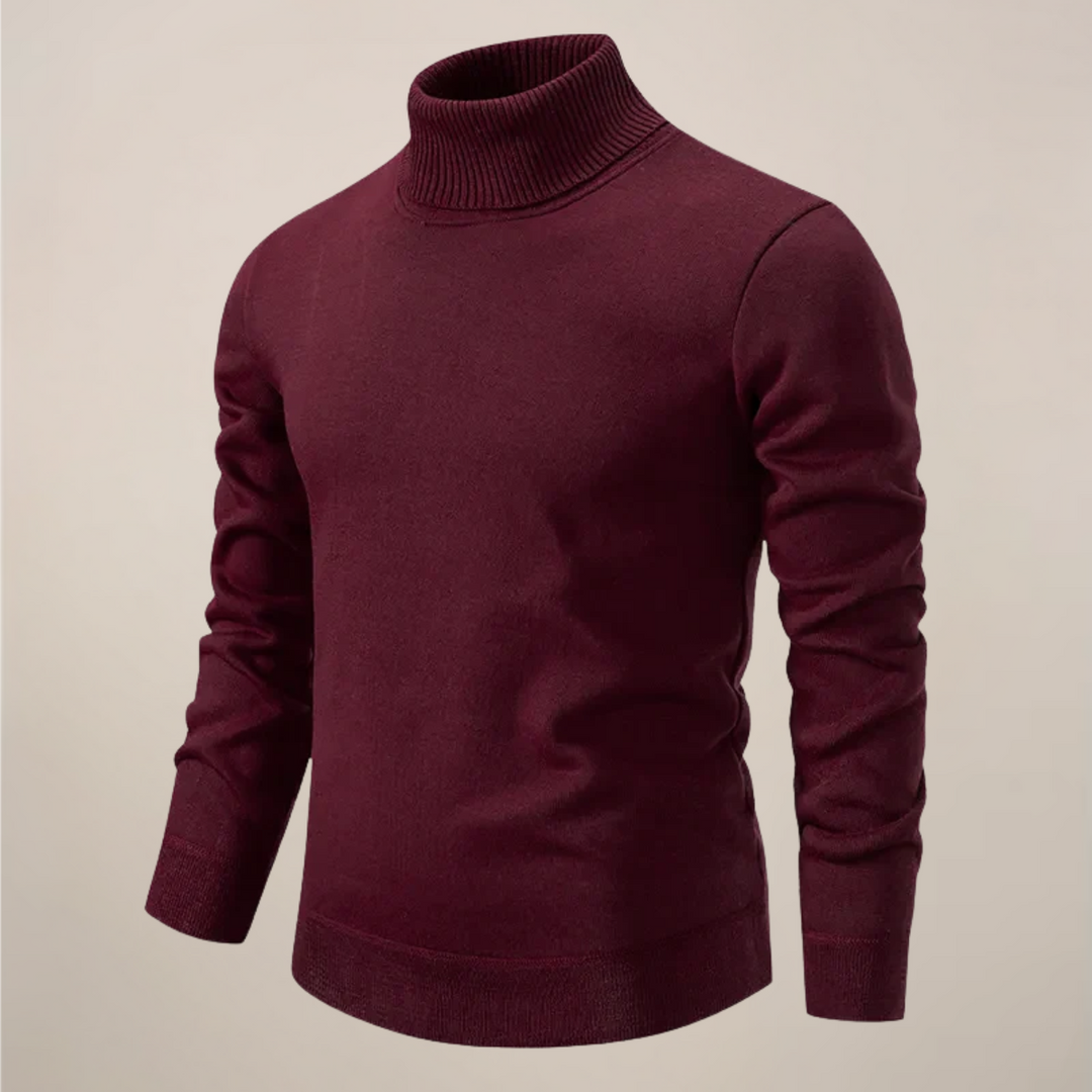 Alexander | Herren Frühlings Rollkragenpullover