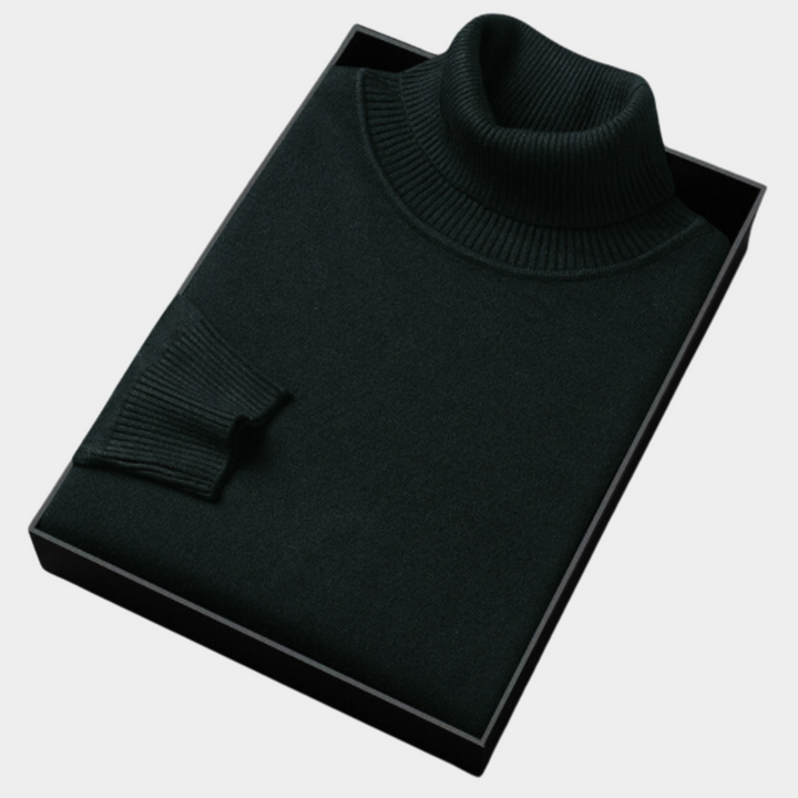Daniel | Herren Frühlings Rollkragenpullover