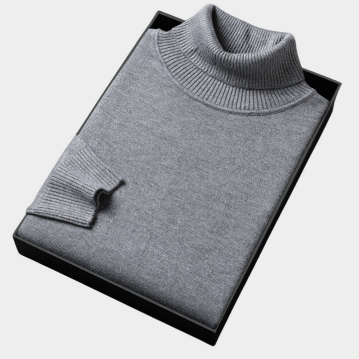 Daniel | Herren Frühlings Rollkragenpullover