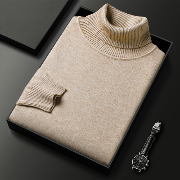 Armin | Herren Lässiger Rollkragenpullover für den Frühling