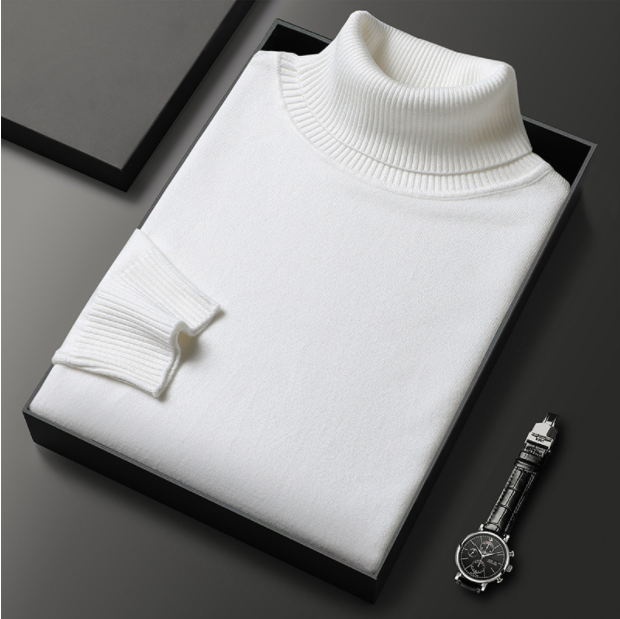 Armin | Herren Lässiger Rollkragenpullover für den Frühling