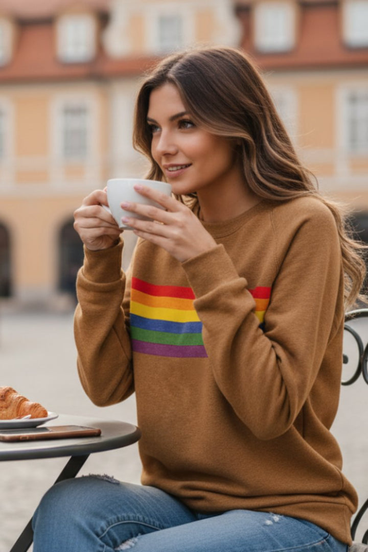 Damen Vintage Regenbogen-Gestreiftes Langarm-Sweatshirt Rundhals