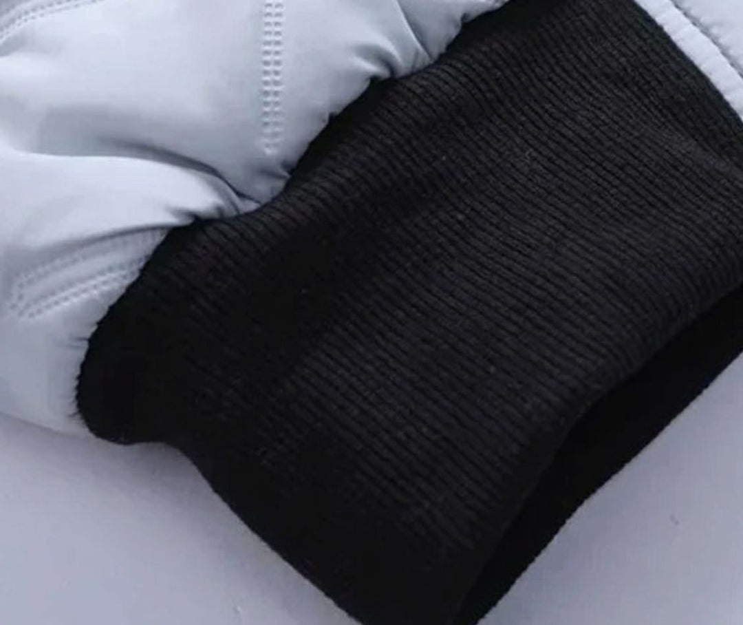 Herren Gesteppte Gefütterte Winterjacke mit Stehkragen