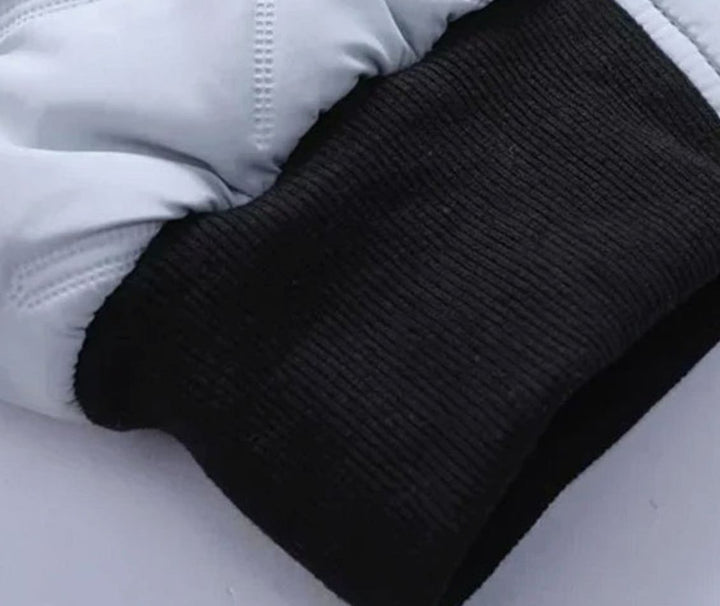 Herren Gesteppte Gefütterte Winterjacke mit Stehkragen