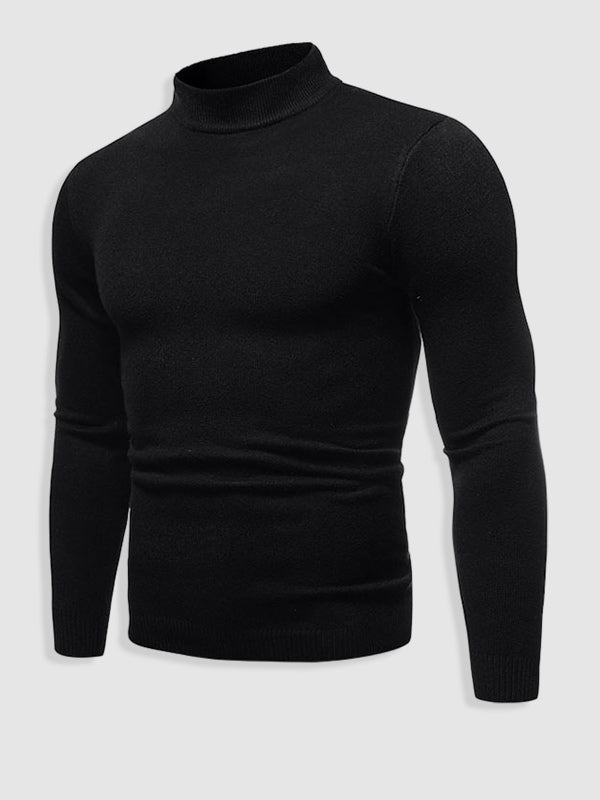 Alexander | Herren Frühlings Slim-Fit Rollkragenpullover