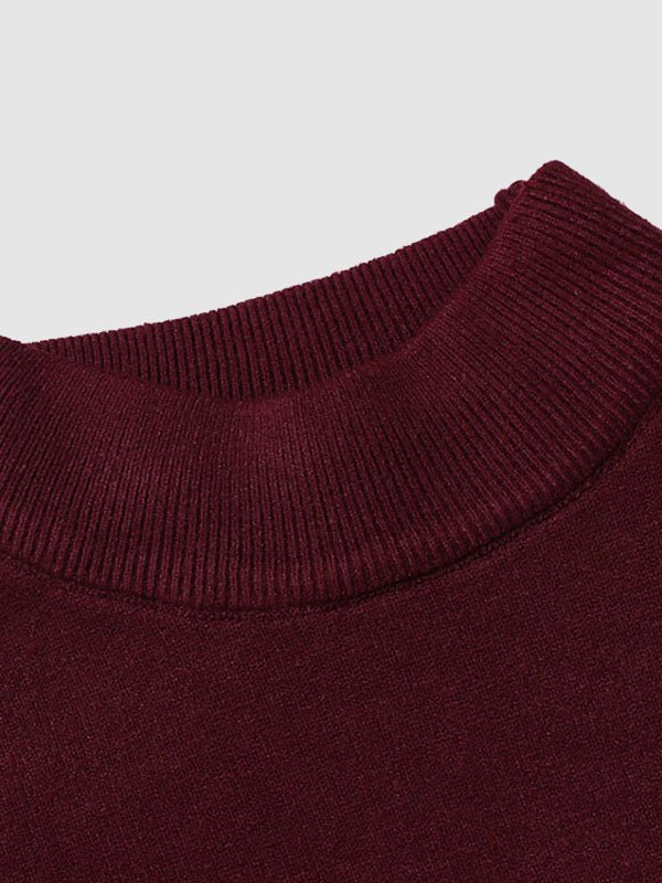 Alexander | Herren Frühlings Slim-Fit Rollkragenpullover